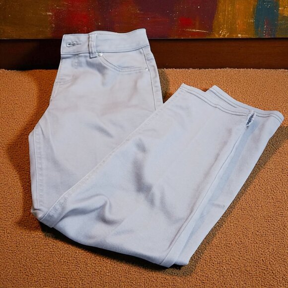 Nygard Light Gray Slim Ankle Pants | Size 6 | Stretch Pull-On Style - Picture 1 of 14